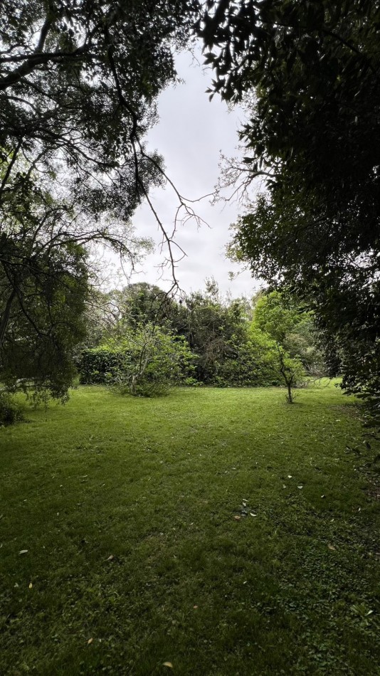 LOTES - VENTA - PUNTA DEL INDIO T-794