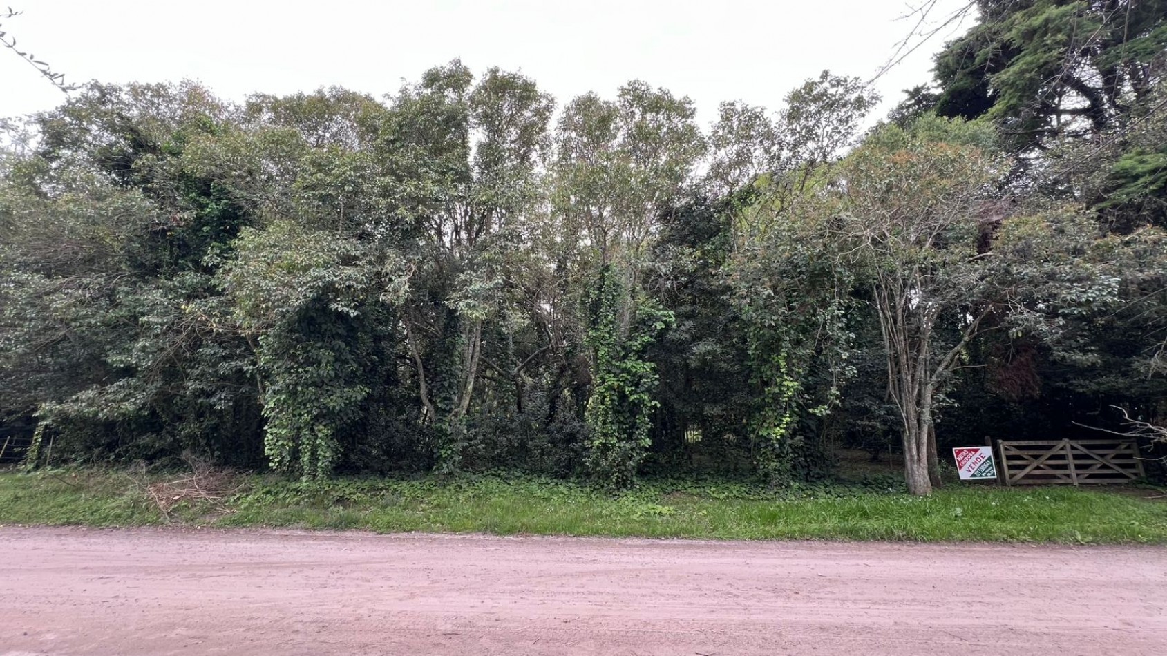 3 LOTES - VENTA - PUNTA DEL INDIO T-794 (valor de uno)