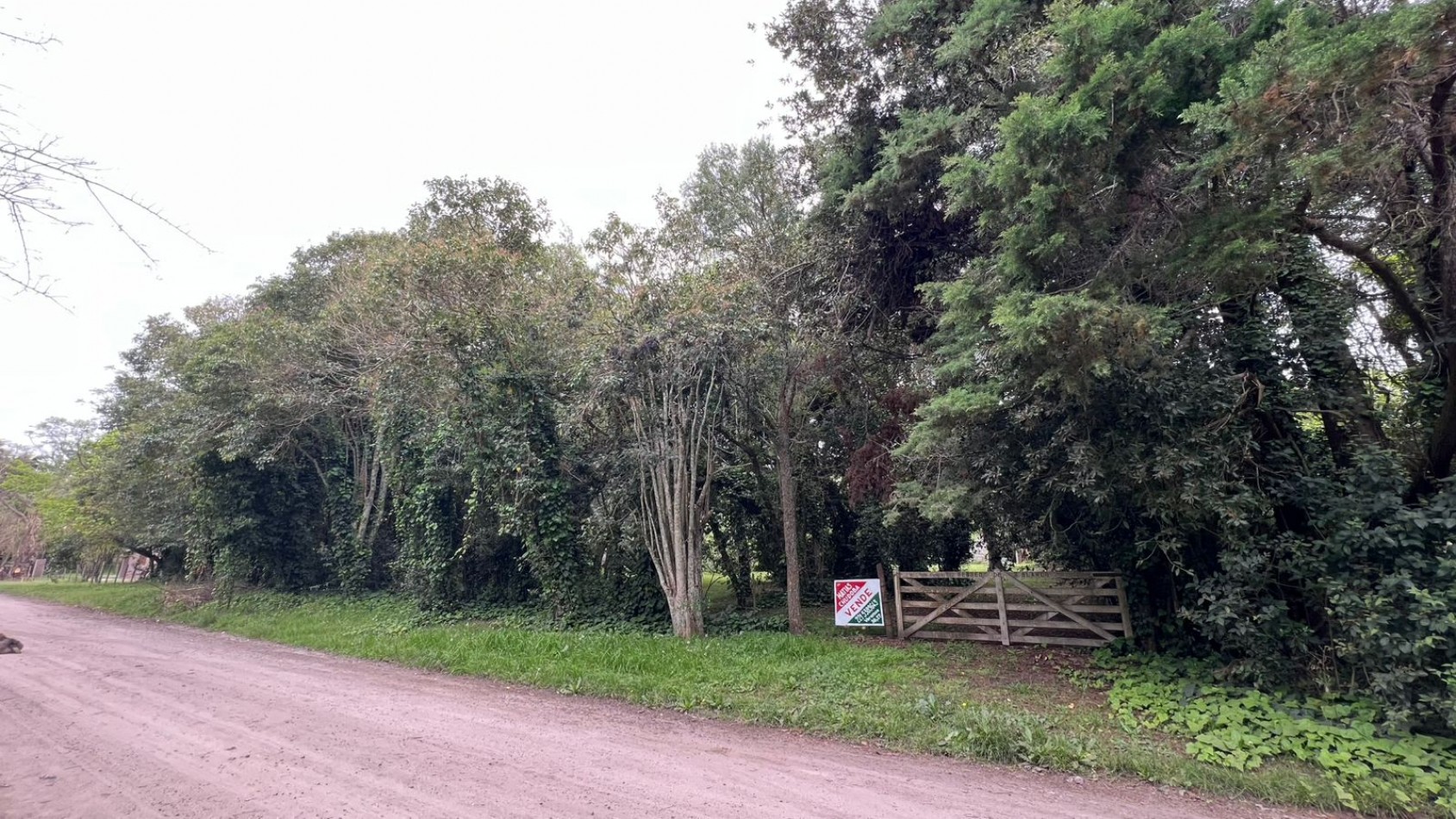 3 LOTES - VENTA - PUNTA DEL INDIO T-794 (valor de uno)