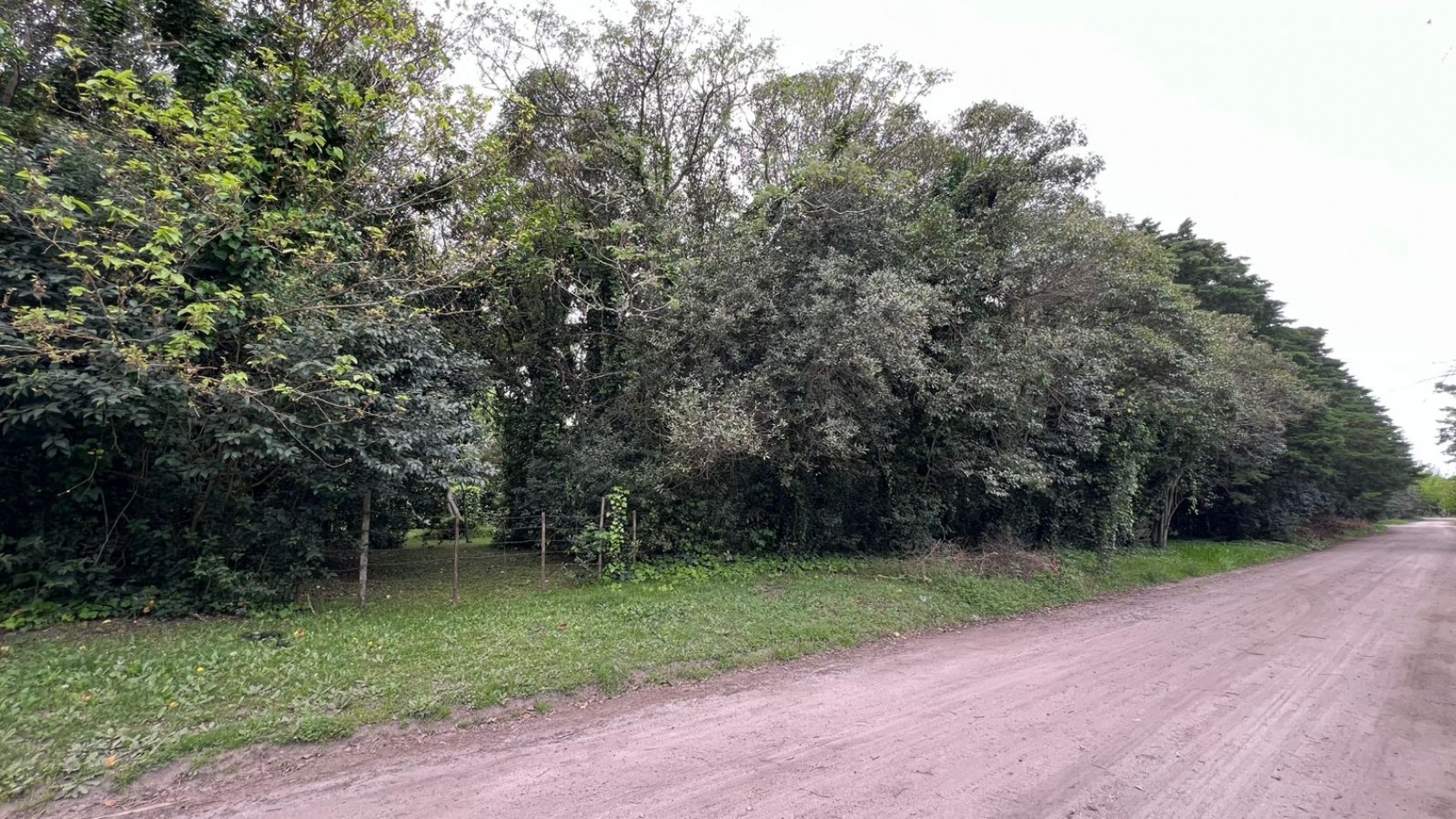 3 LOTES - VENTA - PUNTA DEL INDIO T-794 (valor de uno)