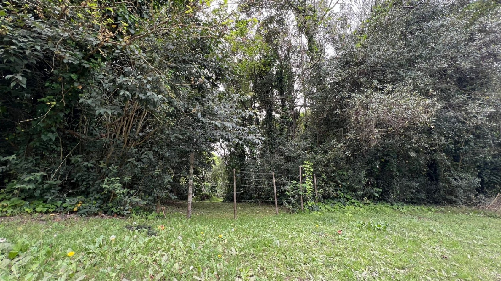 3 LOTES - VENTA - PUNTA DEL INDIO T-794 (valor de uno)