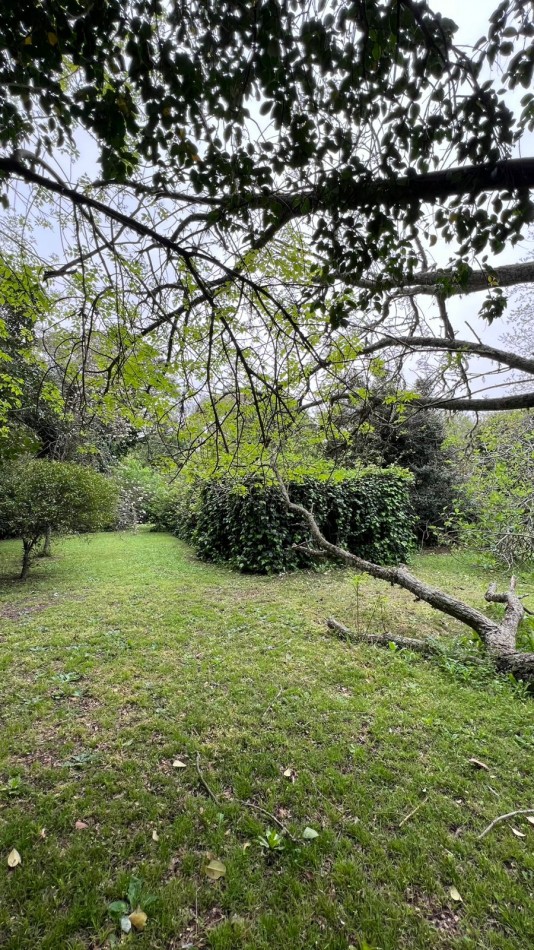 3 LOTES - VENTA - PUNTA DEL INDIO T-794 (valor de uno)