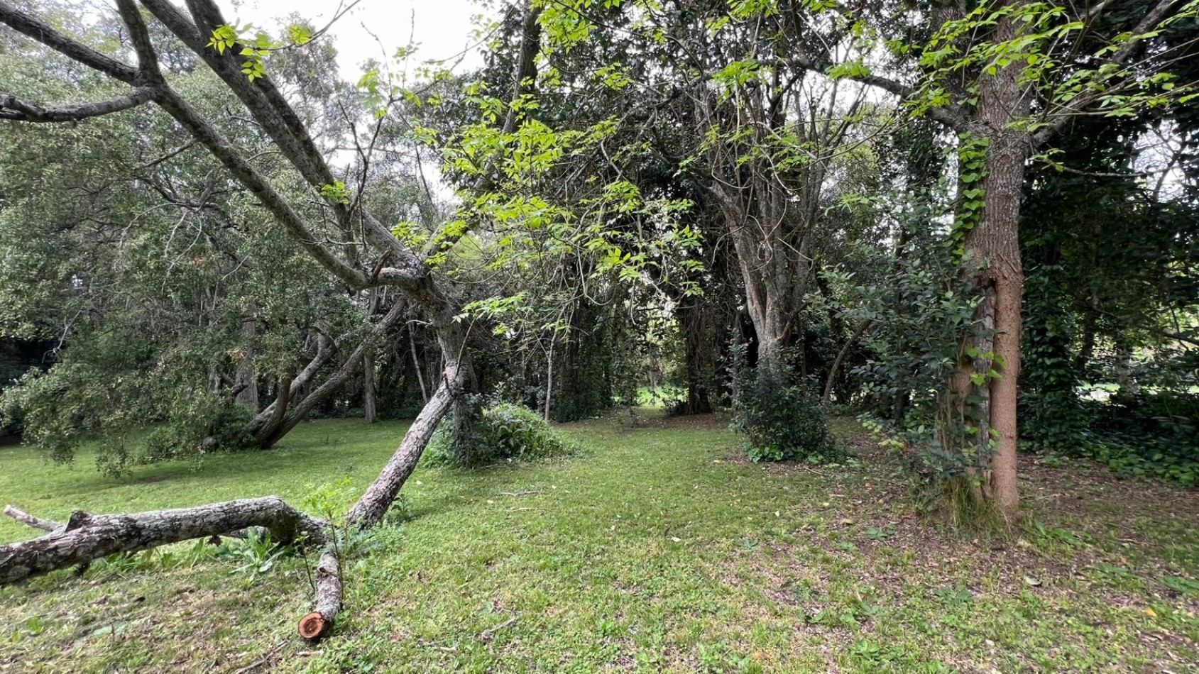 3 LOTES - VENTA - PUNTA DEL INDIO T-794 (valor de uno)