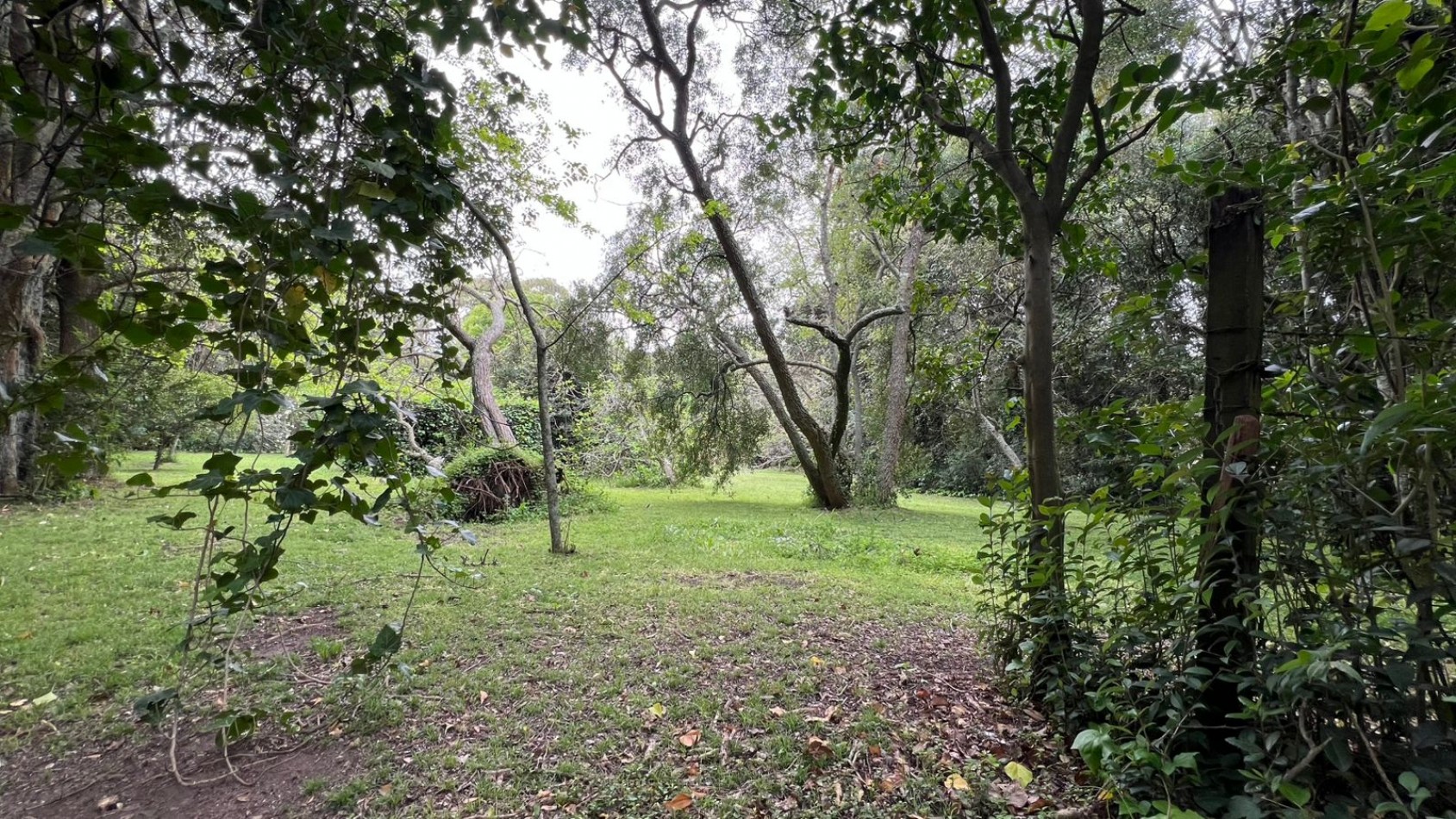 3 LOTES - VENTA - PUNTA DEL INDIO T-794 (valor de uno)