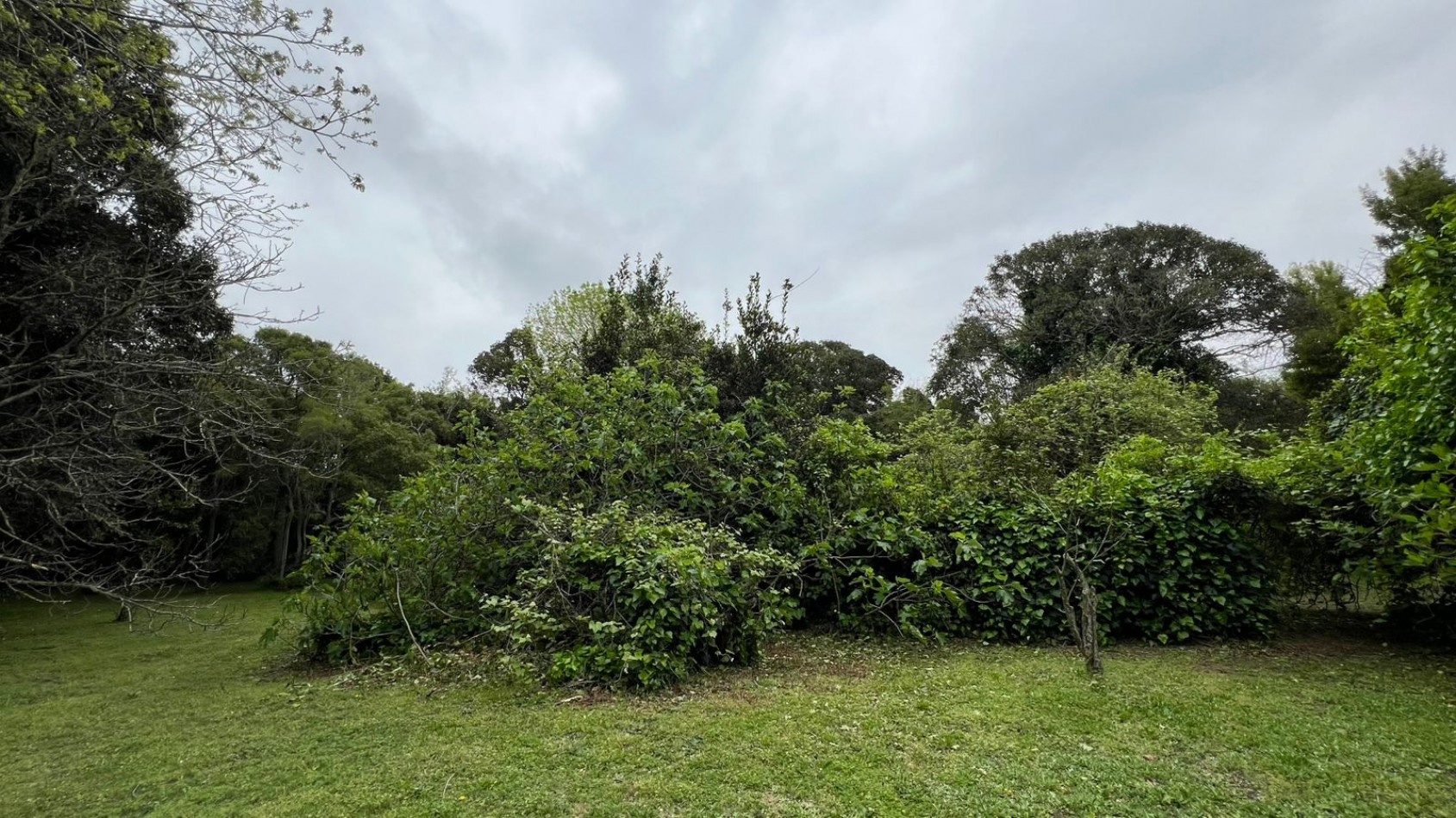 3 LOTES - VENTA - PUNTA DEL INDIO T-794 (valor de uno)