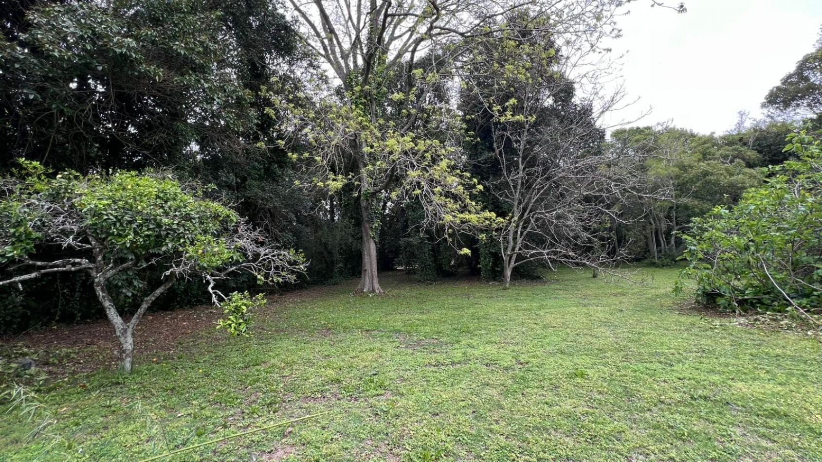 3 LOTES - VENTA - PUNTA DEL INDIO T-794 (valor de uno)