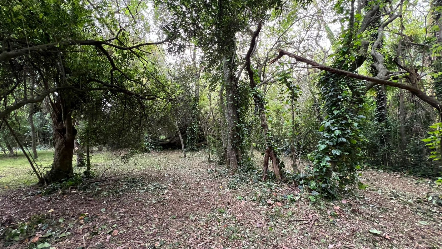 3 LOTES - VENTA - PUNTA DEL INDIO T-794 (valor de uno)