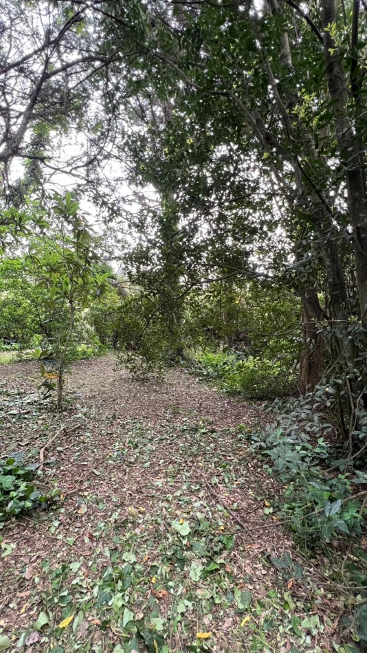 3 LOTES - VENTA - PUNTA DEL INDIO T-794 (valor de uno)