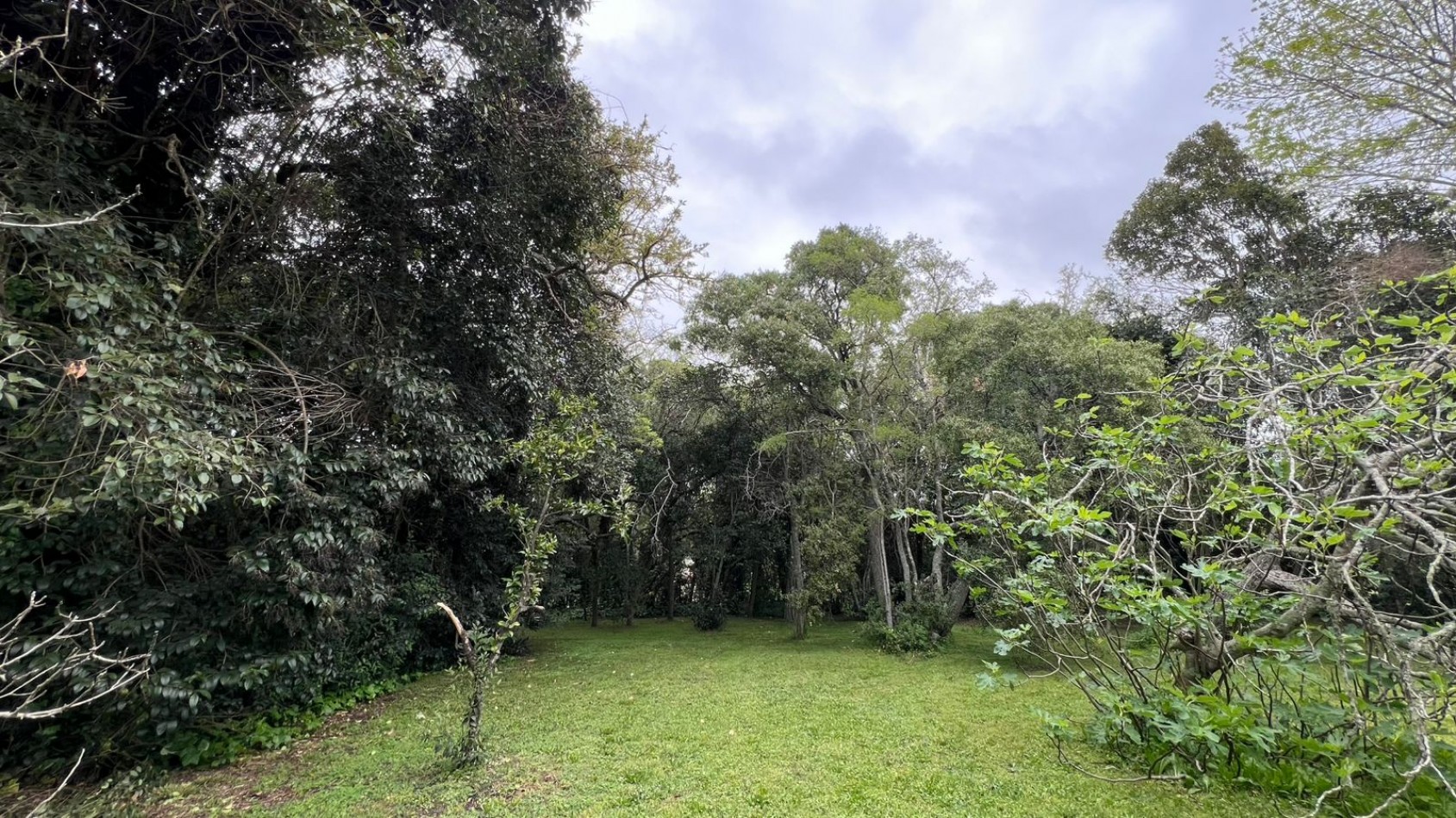 3 LOTES - VENTA - PUNTA DEL INDIO T-794 (valor de uno)
