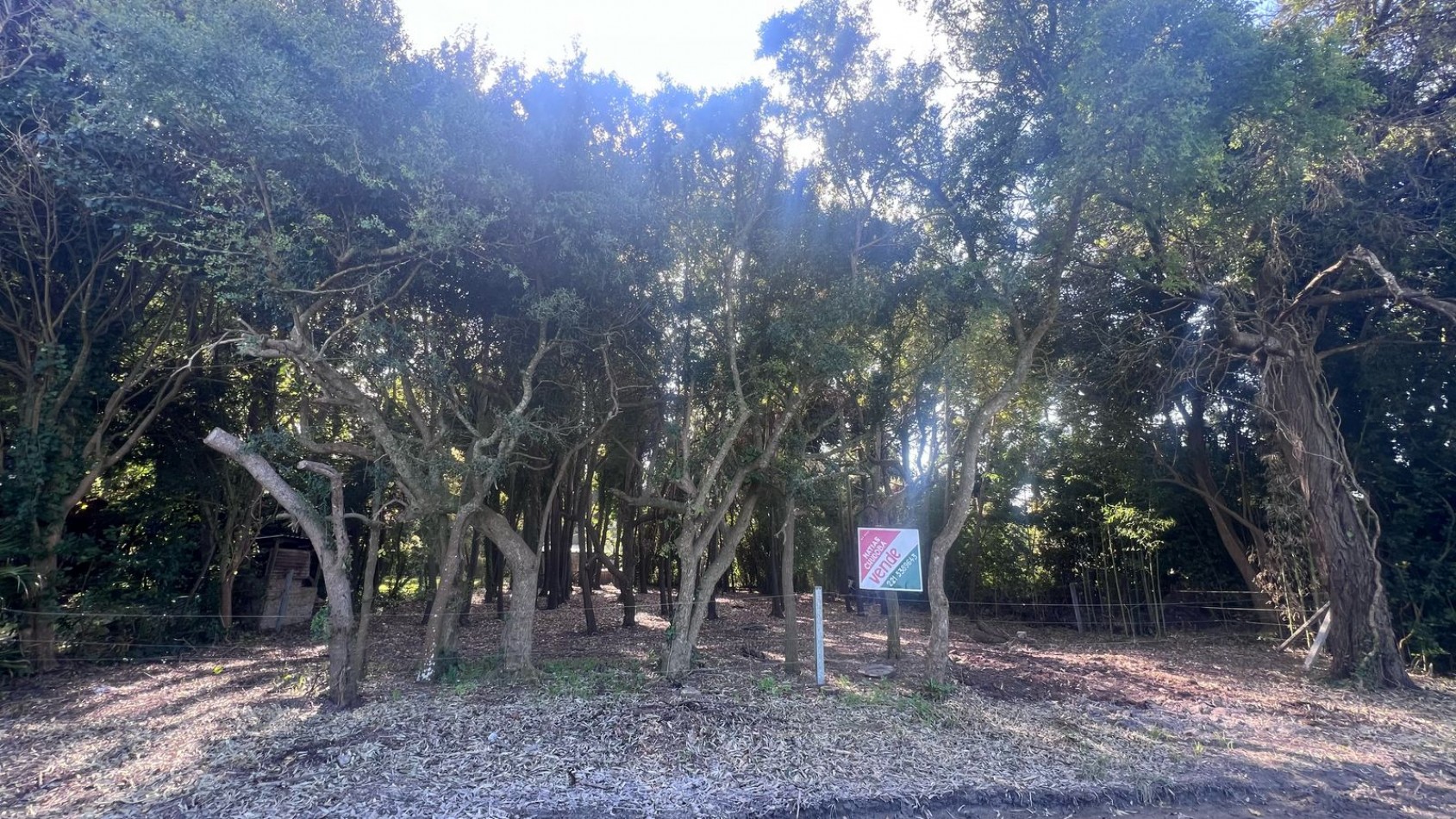 VENTA LOTE PUNTA INDIO T-802