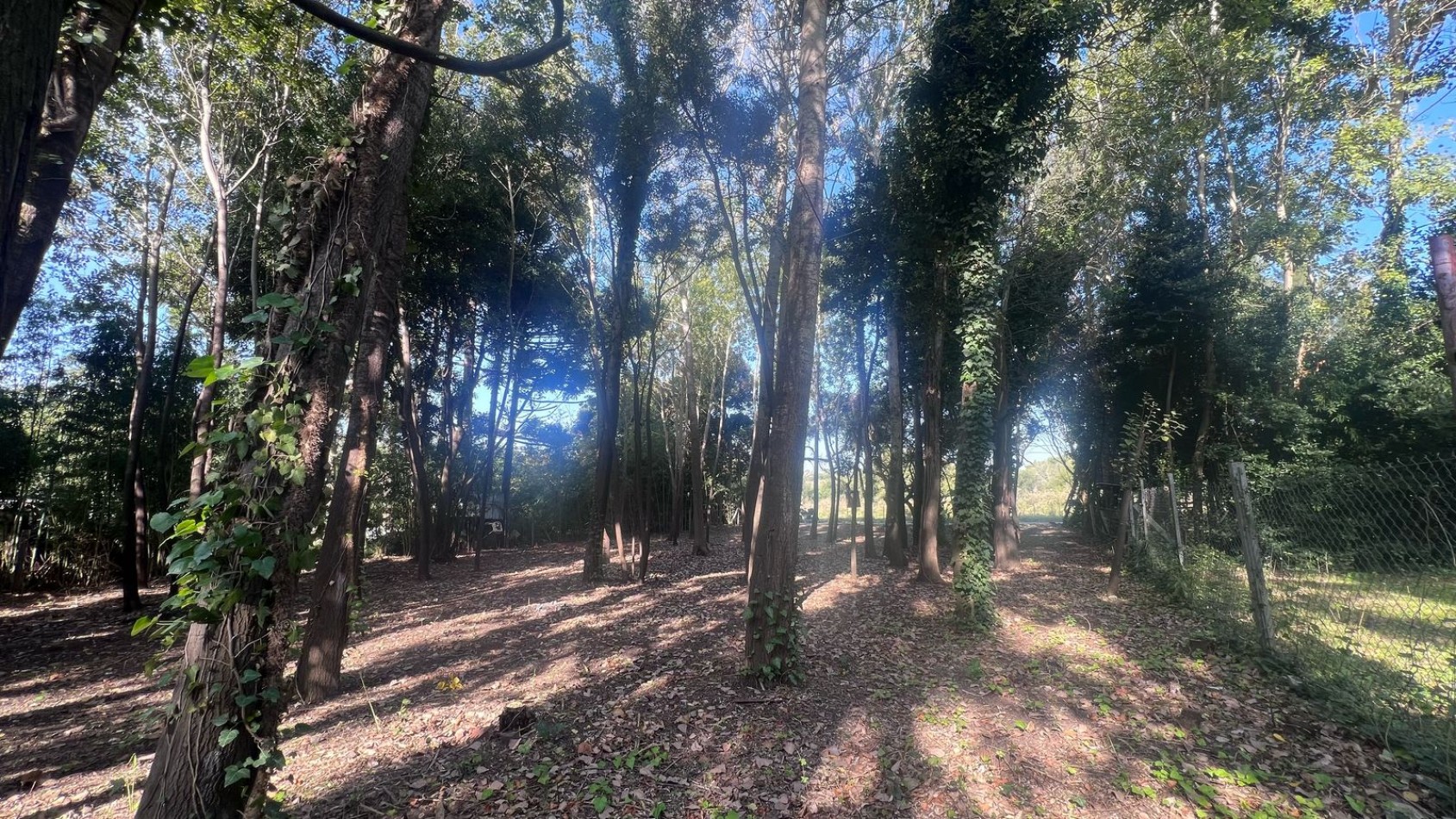 VENTA LOTE PUNTA INDIO T-802