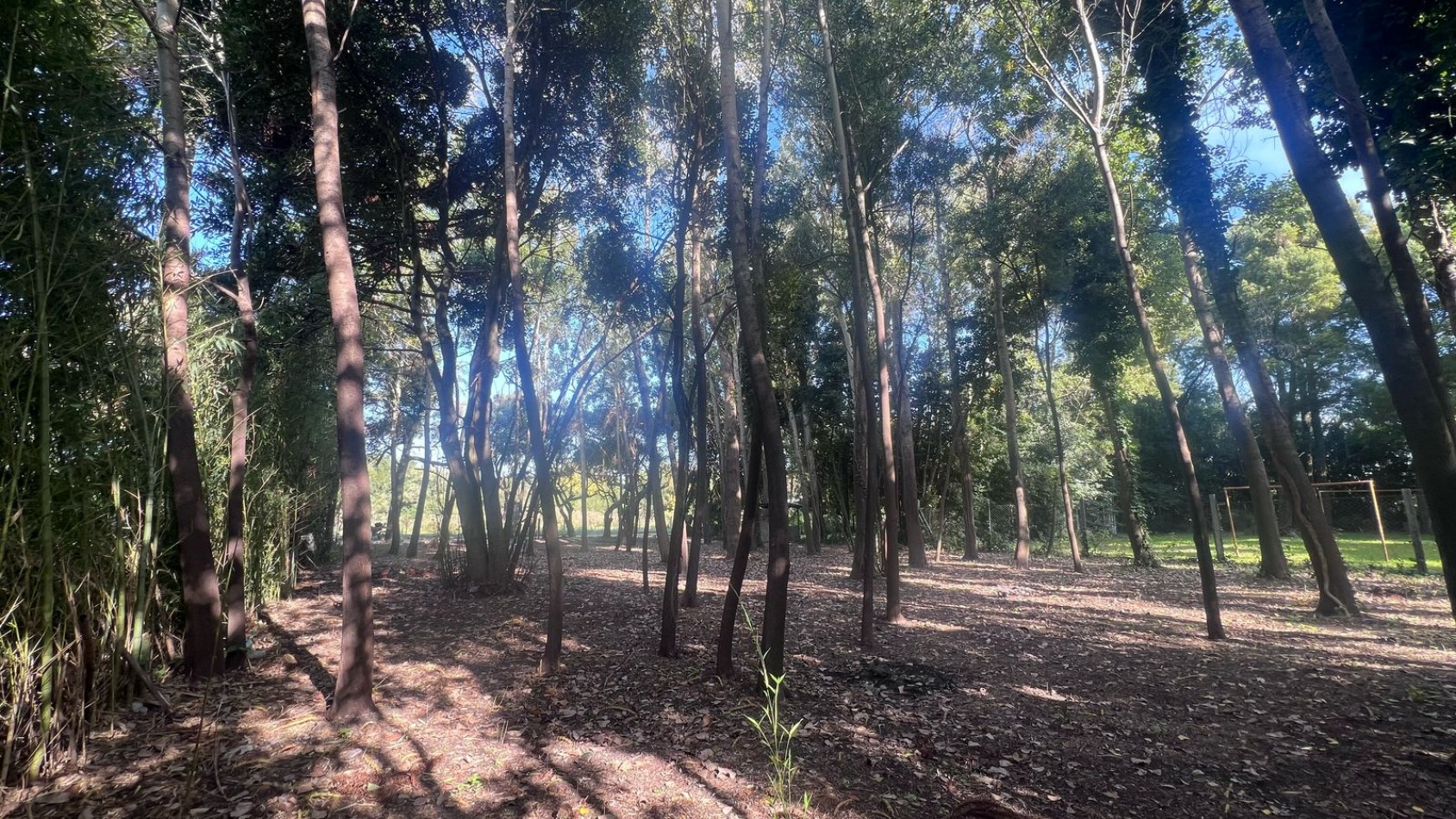 VENTA LOTE PUNTA INDIO T-802