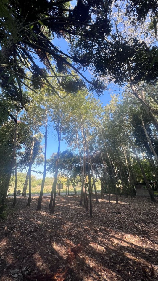VENTA LOTE PUNTA INDIO T-802