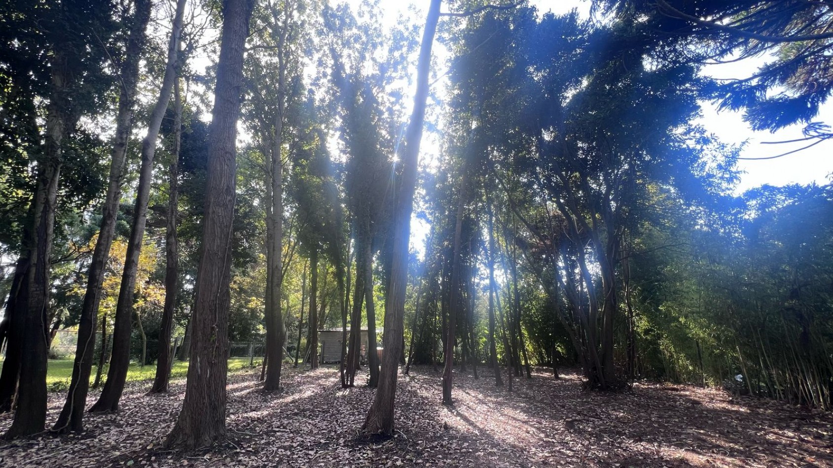 VENTA LOTE PUNTA INDIO T-802
