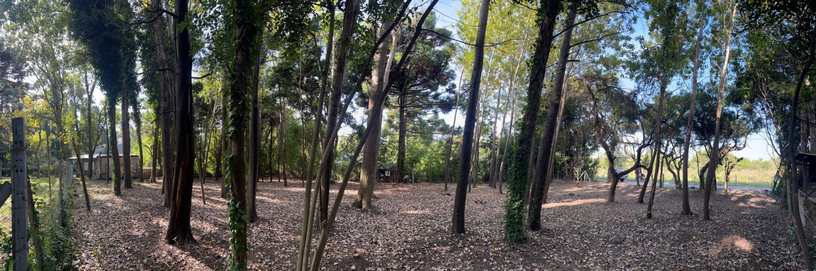 VENTA LOTE PUNTA INDIO T-802