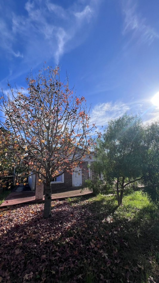 VENTA CASA QUINTA VERONICA PUNTA INDIO K-1080