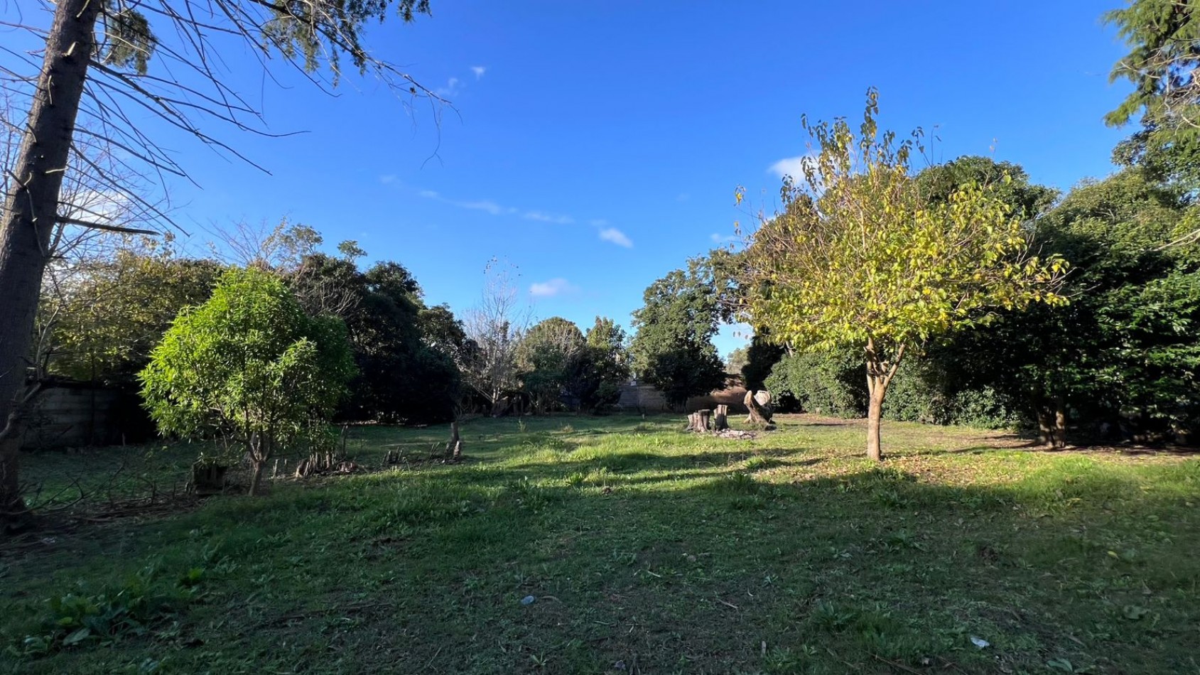 VENDE LOTE VERONICA PUNTA INDIO T-803