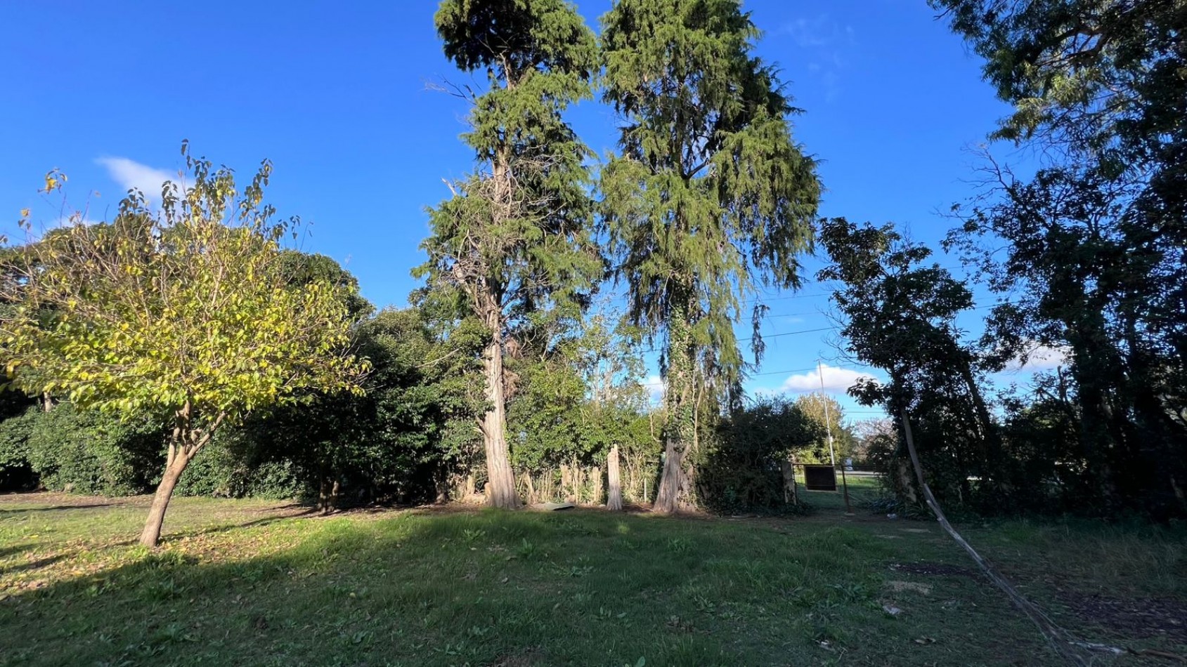 VENDE LOTE VERONICA PUNTA INDIO T-803