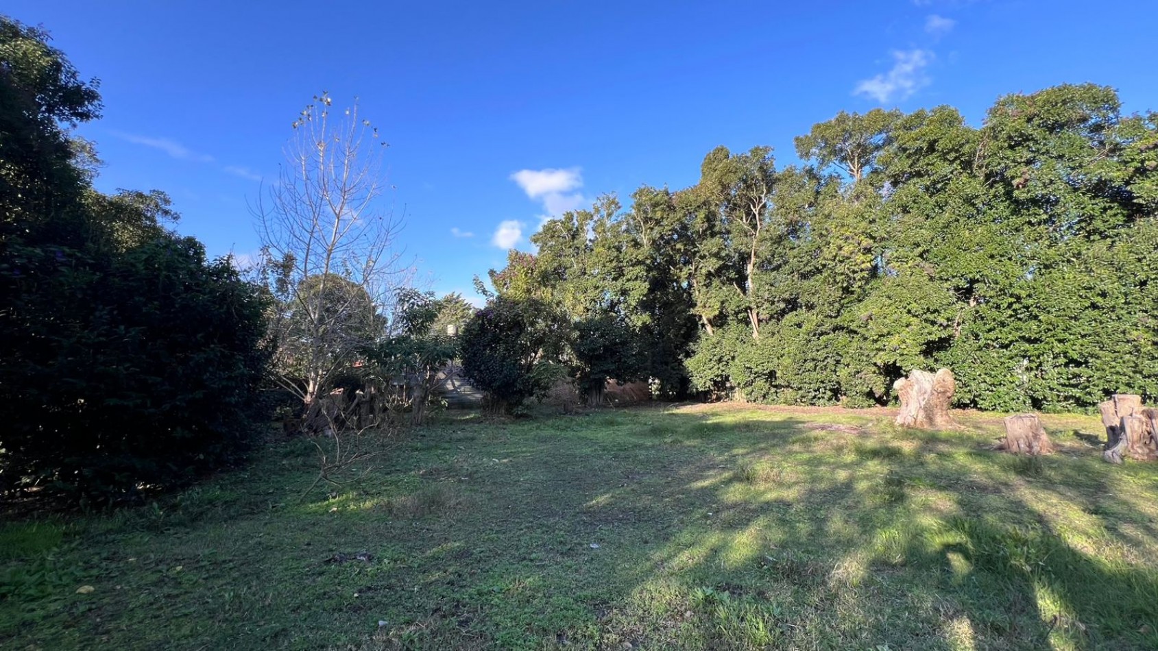 VENDE LOTE VERONICA PUNTA INDIO T-803