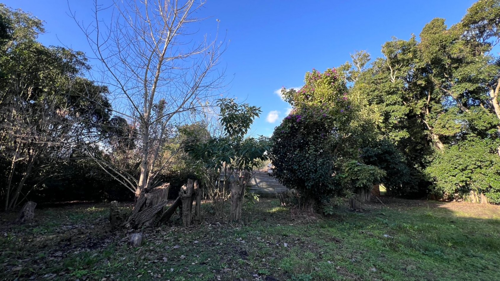 VENDE LOTE VERONICA PUNTA INDIO T-803