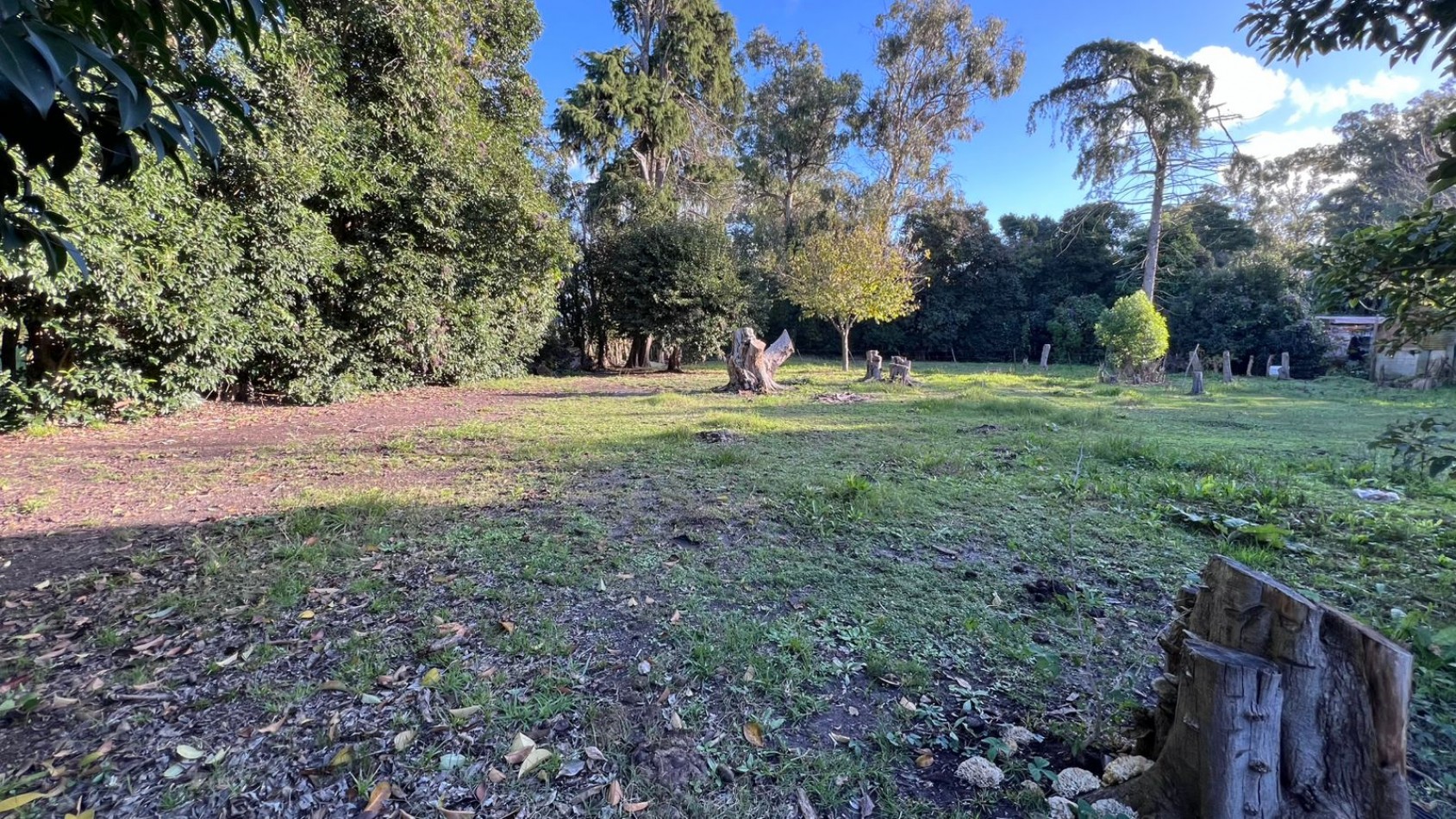 VENDE LOTE VERONICA PUNTA INDIO T-803