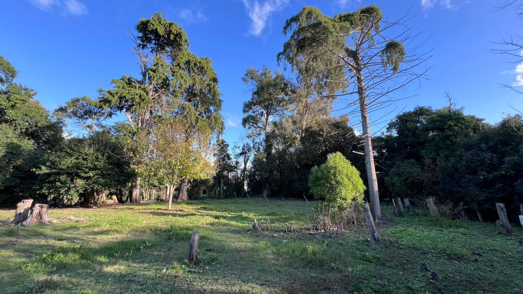 VENDE LOTE VERONICA PUNTA INDIO T-803