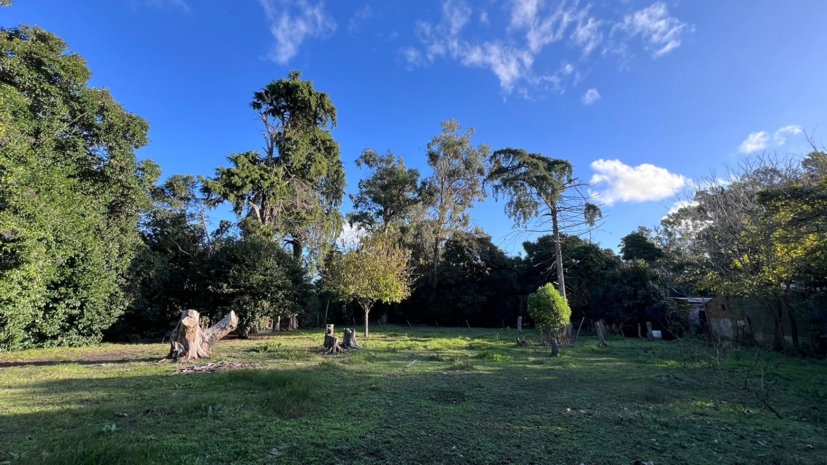 VENDE LOTE VERONICA PUNTA INDIO T-803