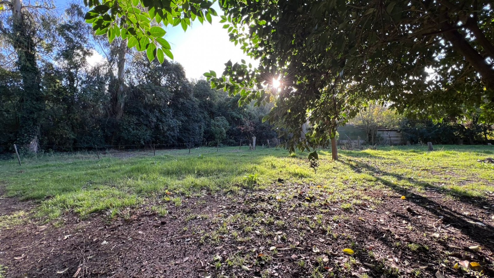 VENDE LOTE VERONICA PUNTA INDIO T-803