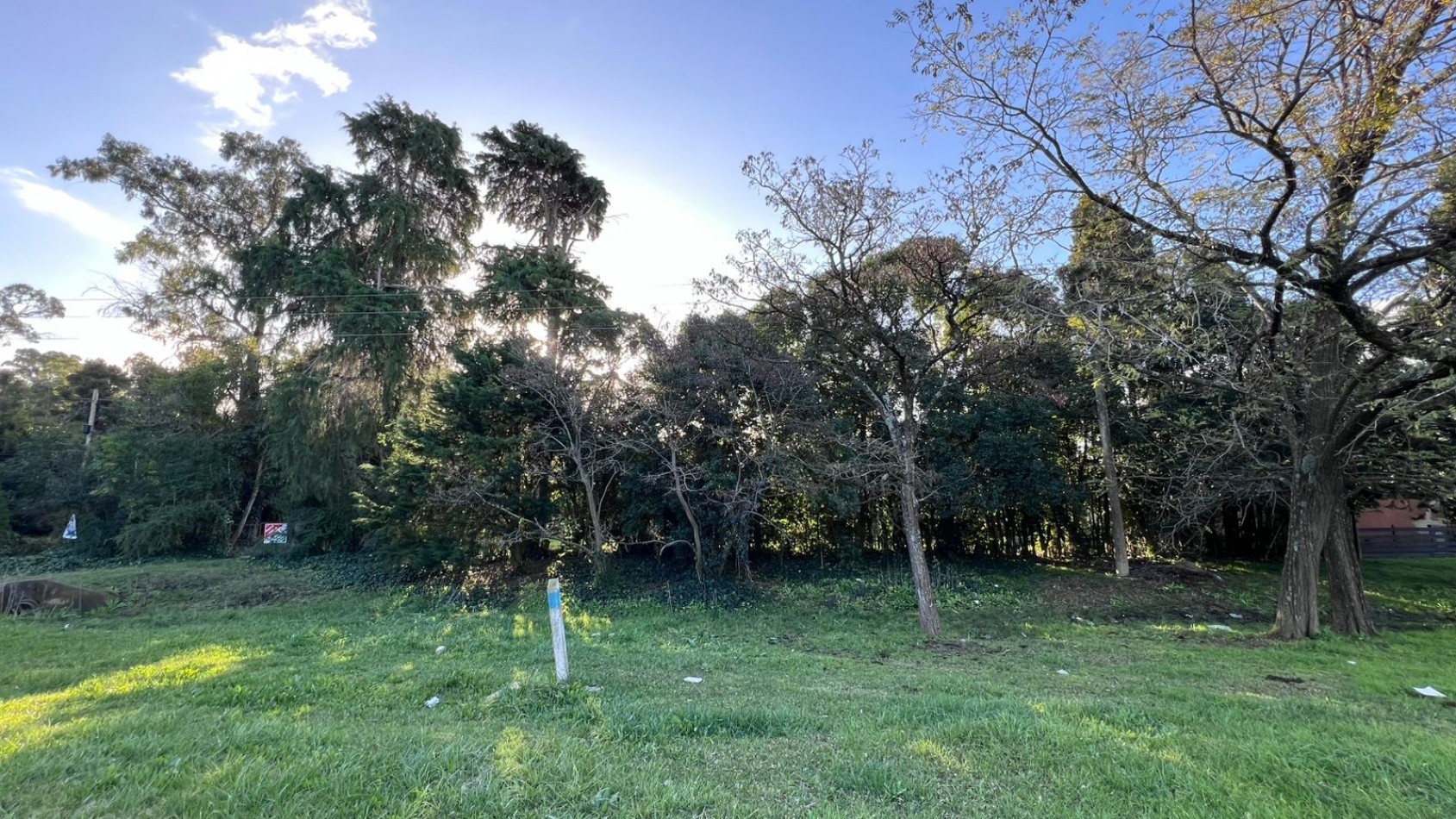 VENDE LOTE VERONICA PUNTA INDIO T-803