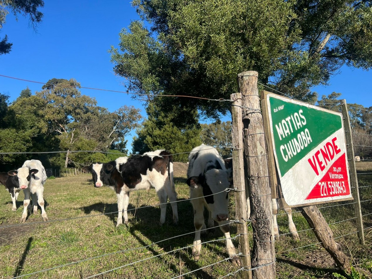 VENTA LOTE AMPLIO VERONICA - PUNTA INDIO T-804
