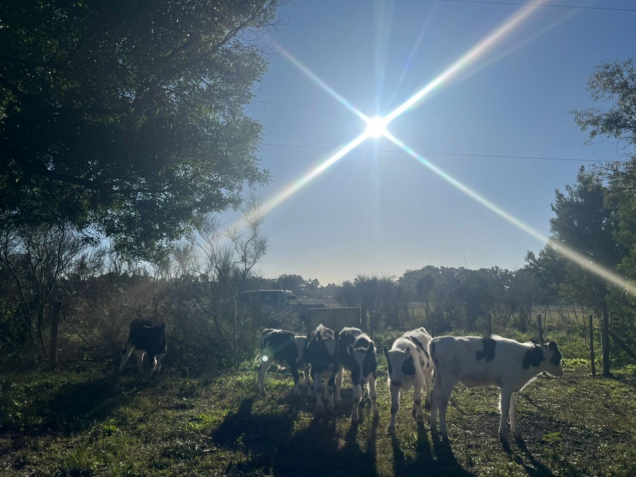 VENTA LOTE AMPLIO VERONICA - PUNTA INDIO T-804