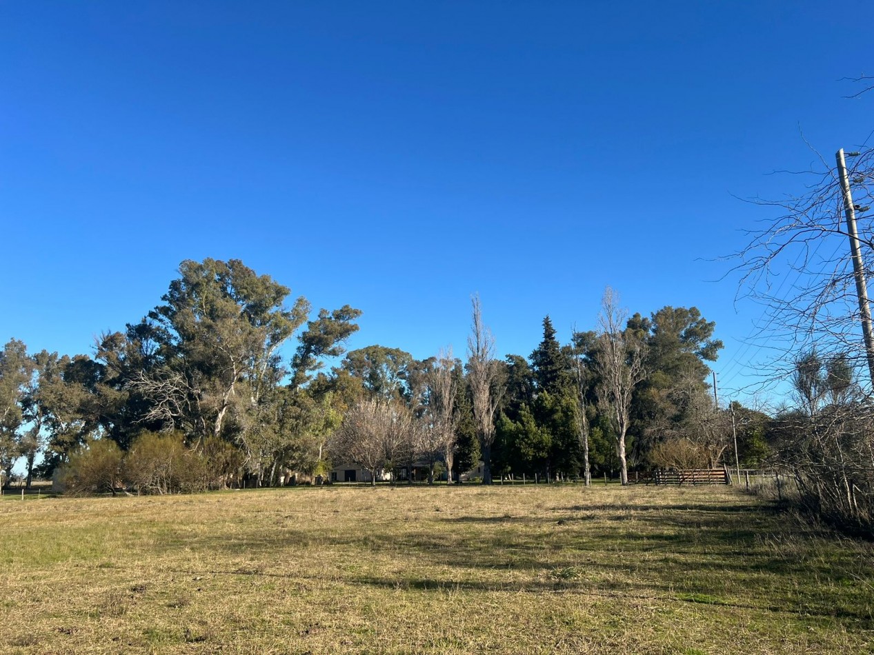 VENTA LOTE AMPLIO VERONICA - PUNTA INDIO T-804