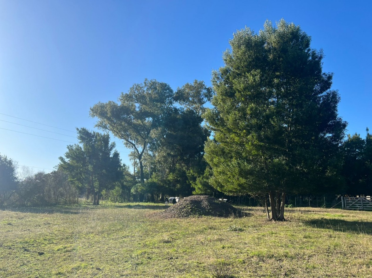 VENTA LOTE AMPLIO VERONICA - PUNTA INDIO T-804