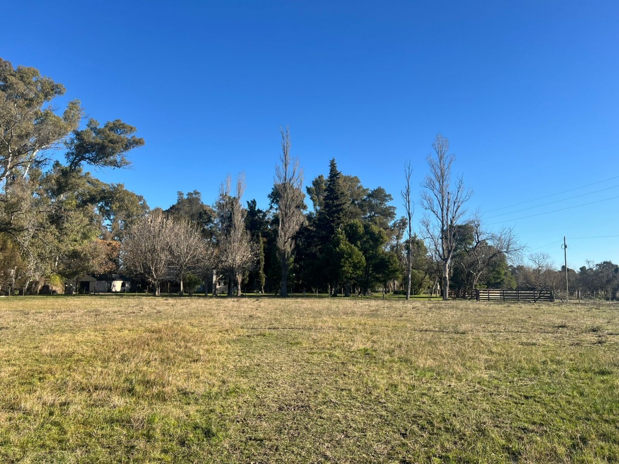 VENTA LOTE AMPLIO VERONICA - PUNTA INDIO T-804
