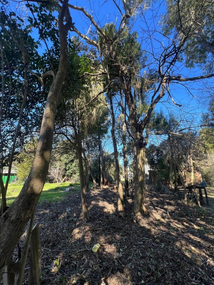 VENTA LOTE VERONICA - PUNTA INDIO T-806