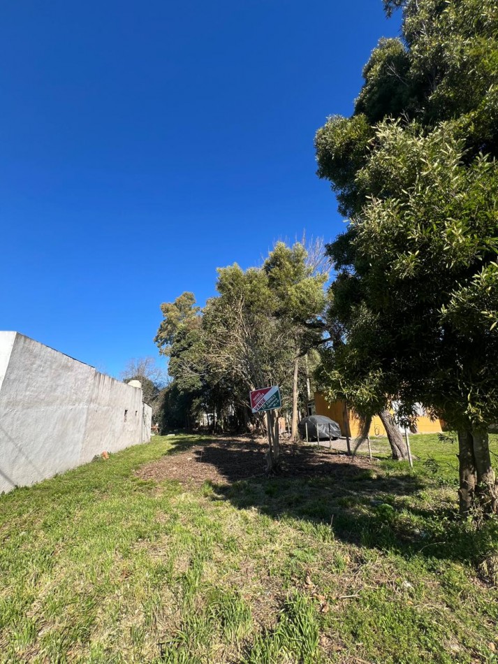 VENTA LOTE VERONICA - PUNTA INDIO T-806