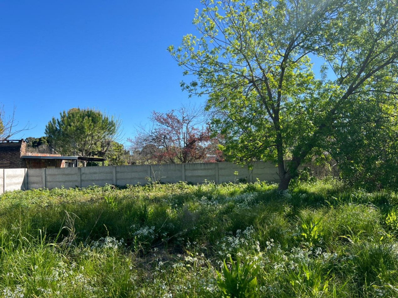 VENDE LOTE VERONICA 600M²