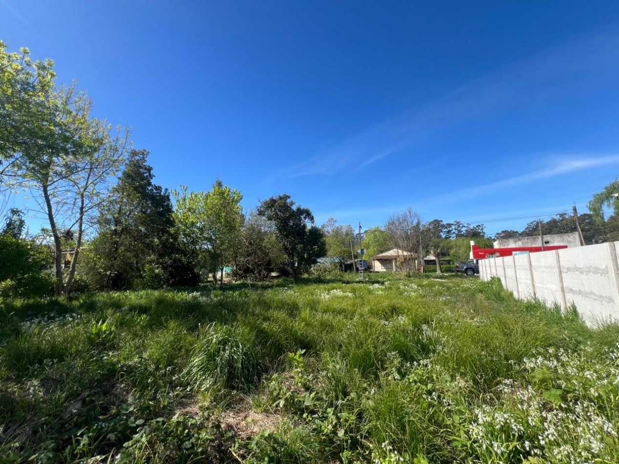 VENDE LOTE VERONICA 600M²