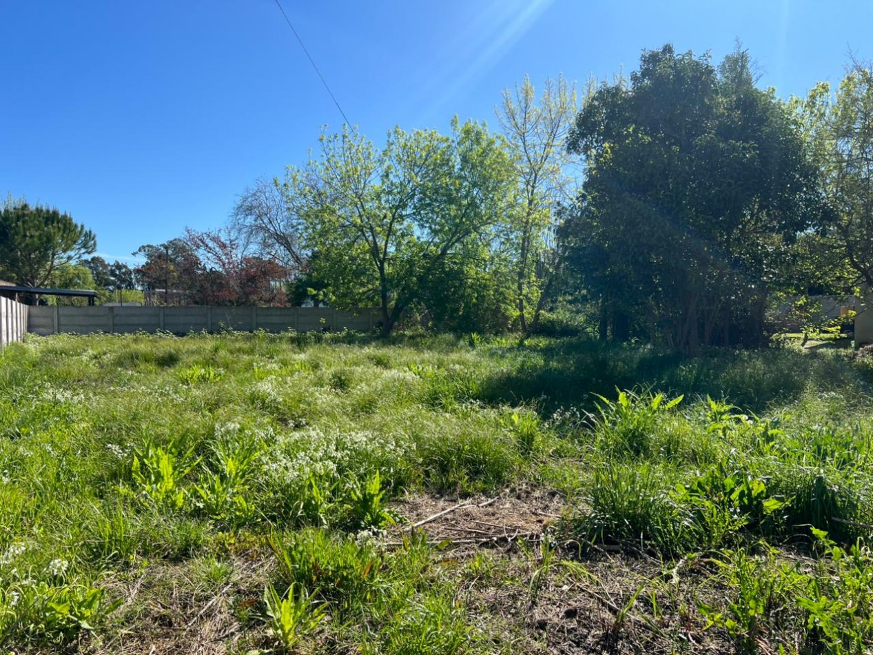 VENDE LOTE VERONICA 600M²