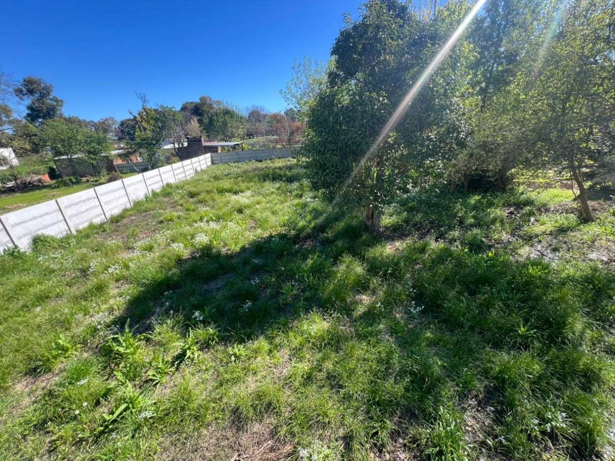 VENDE LOTE VERONICA 600M²