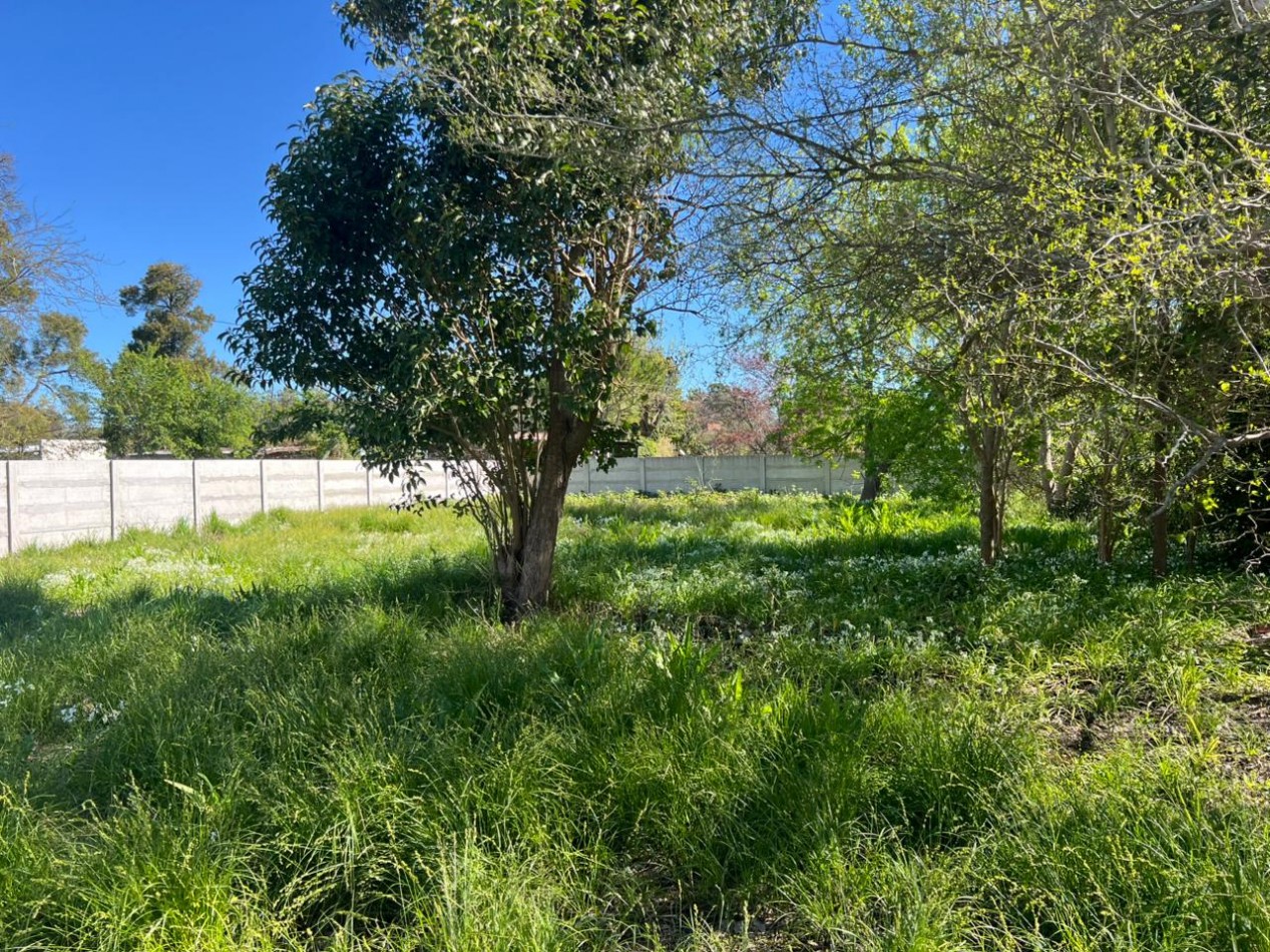 VENDE LOTE VERONICA 600M²