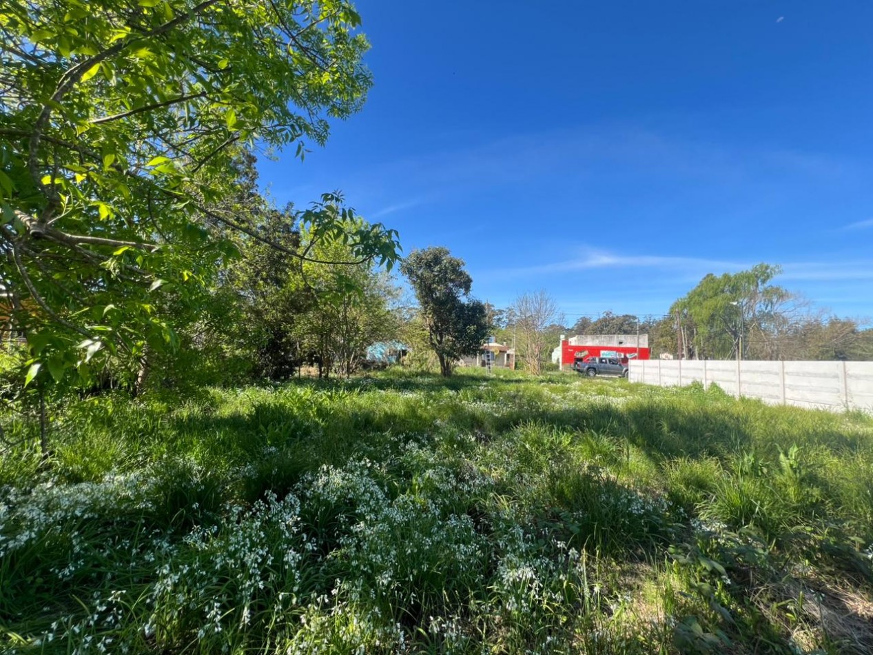 VENDE LOTE VERONICA 600M²