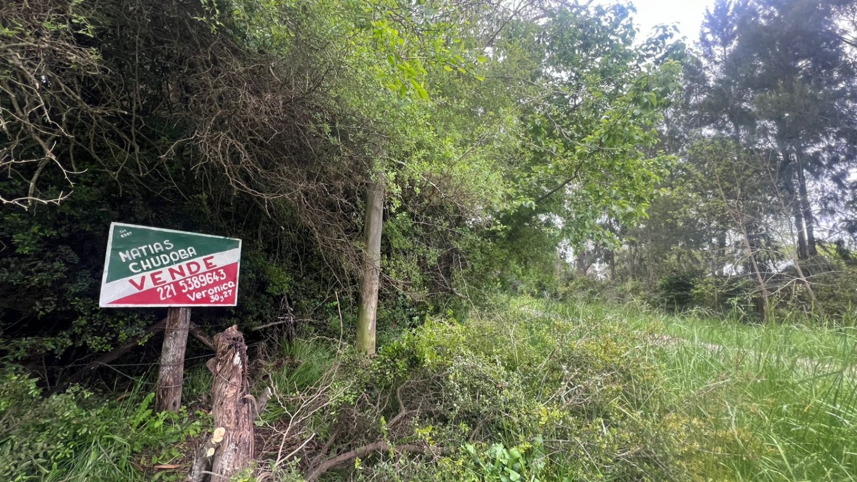 VENDE LOTE AMPLIO - 5.000 M² - PUNTA INDIO