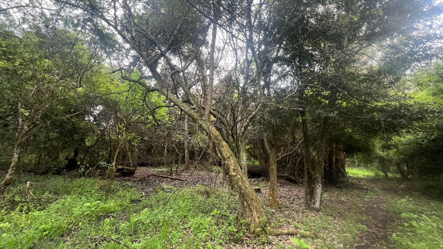 VENDE LOTE AMPLIO - 5.000 M² - PUNTA INDIO