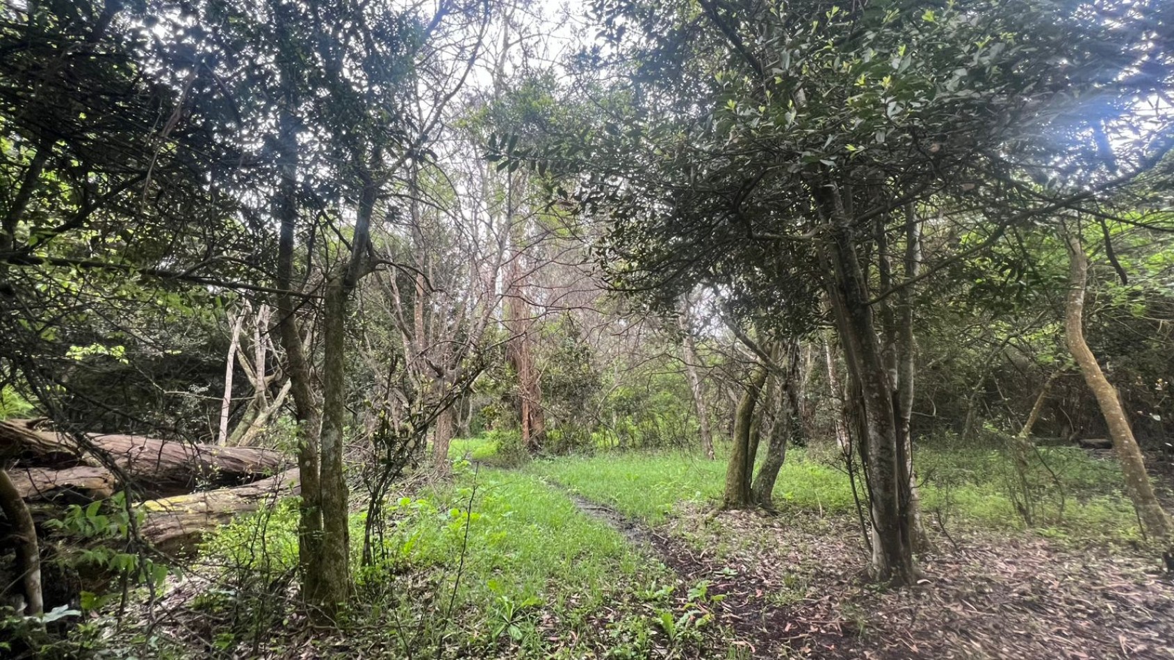 VENDE LOTE AMPLIO - 5.000 M² - PUNTA INDIO