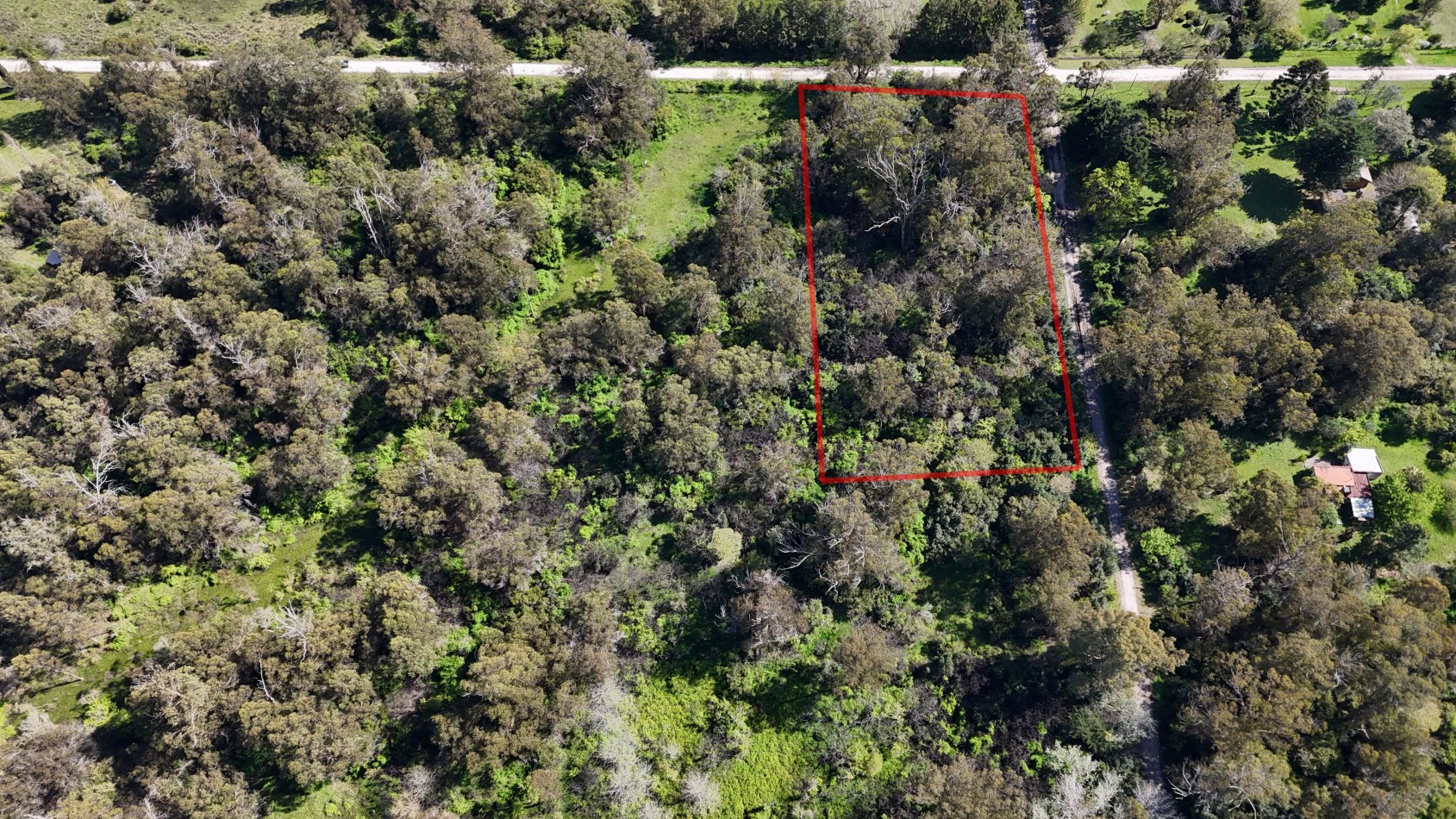 VENDE LOTE AMPLIO - 5.000 M² - PUNTA INDIO