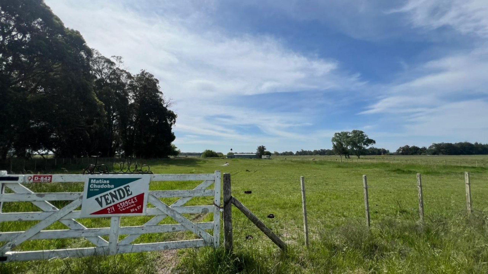 VENTA LOTE VERONICA 5000M² T-809