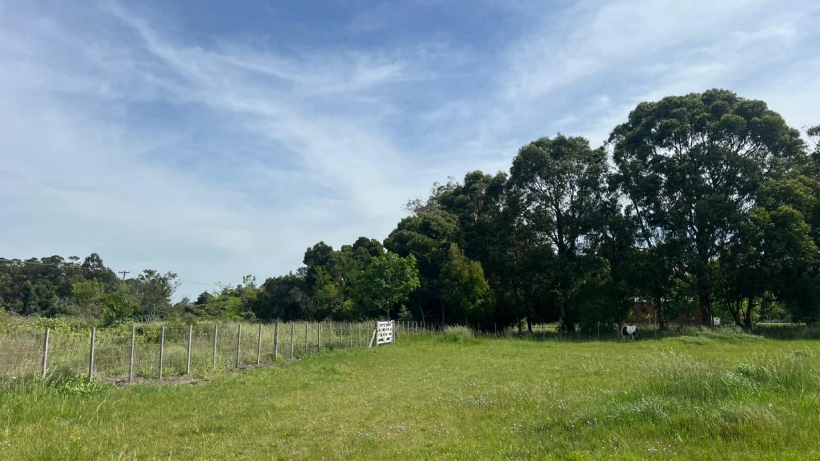 VENTA LOTE VERONICA 5000M² T-809