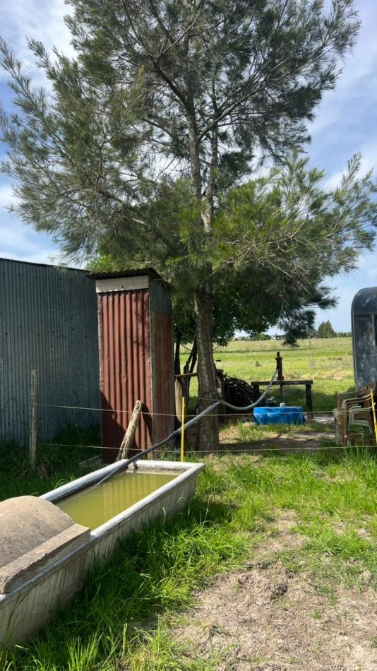 VENTA LOTE VERONICA 5000M² T-809