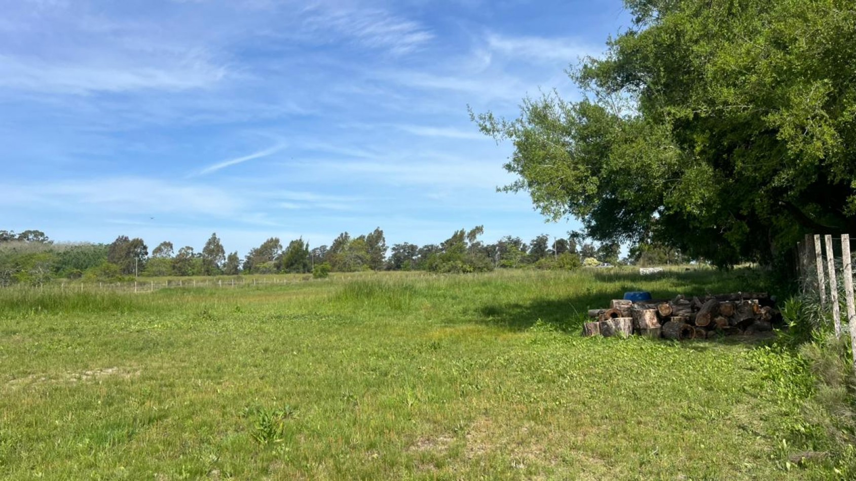 VENTA LOTE VERONICA 5000M² T-809